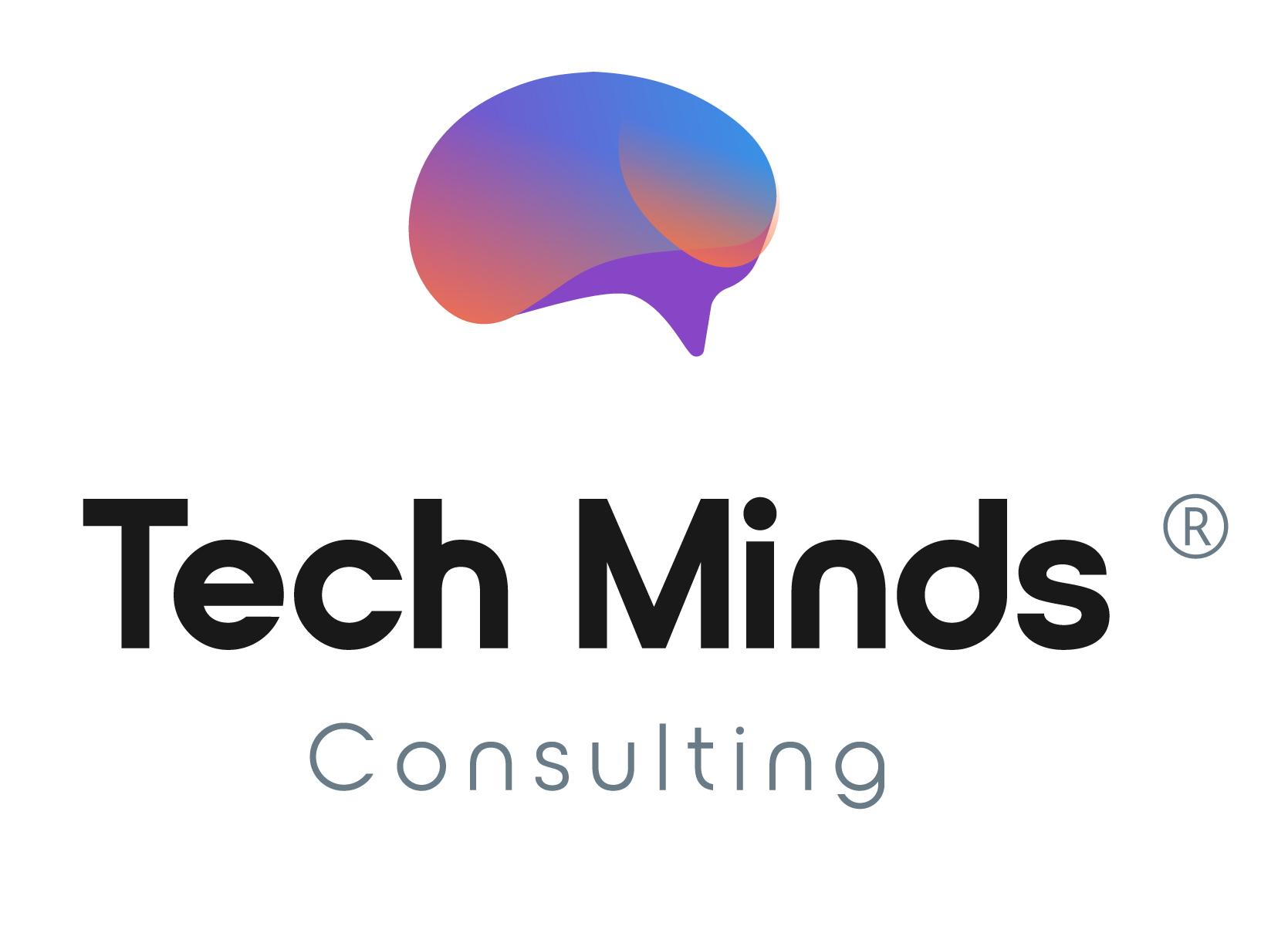 TechMinds Consulting