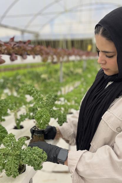 UNDP Green Growth